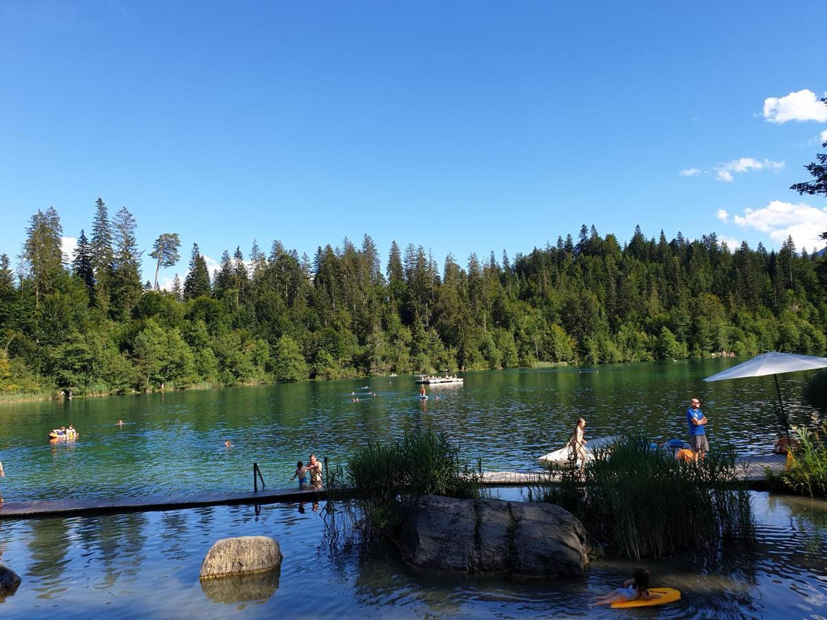 Apartment Casa Laudinella 2,5 Flims